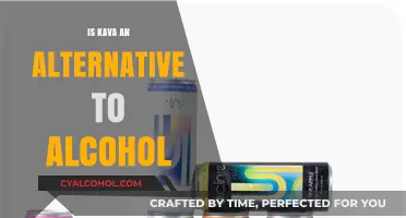 Kava as an Alcohol Alternative: Exploring Its Benefits and Drawbacks