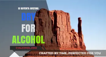 Is Kayenta, Arizona Dry? Alcohol Laws and Restrictions Explained