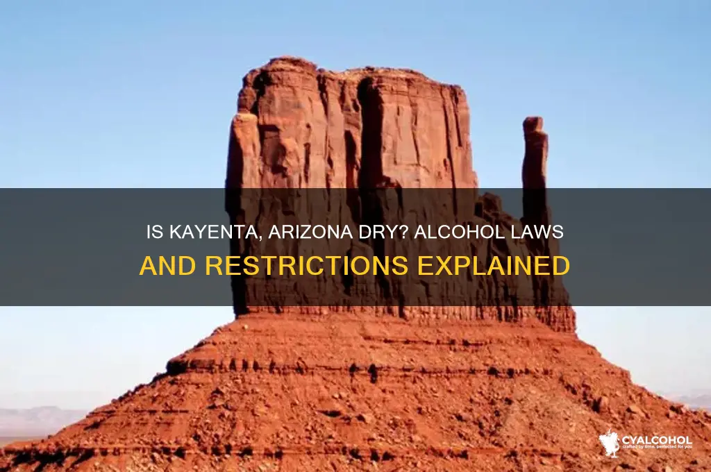 is kayenta arizona dry for alcohol