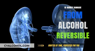 Can Alcohol-Induced Kidney Damage Be Reversed? Facts and Recovery Insights