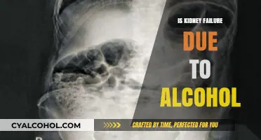 Alcohol and Kidney Failure: Understanding the Risks and Consequences