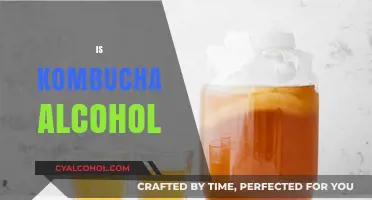Is Kombucha Alcoholic? Unraveling the Fermented Tea Mystery