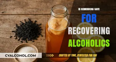 Kombucha and Recovery: Safe Choice for Former Alcoholics?