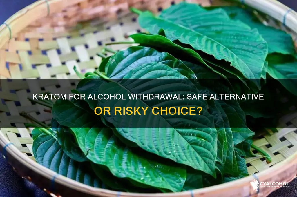 is kratom safe for alcohol withdrawal