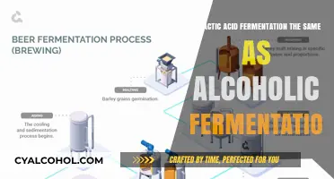 Lactic Acid vs Alcoholic Fermentation: What's the Difference?
