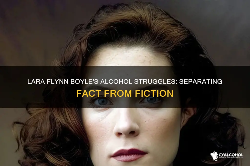 is lara flynn boyle an alcoholic