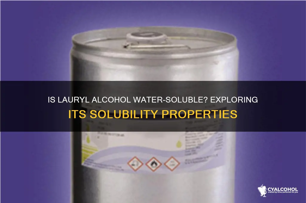 is lauryl alcohol soluble in water