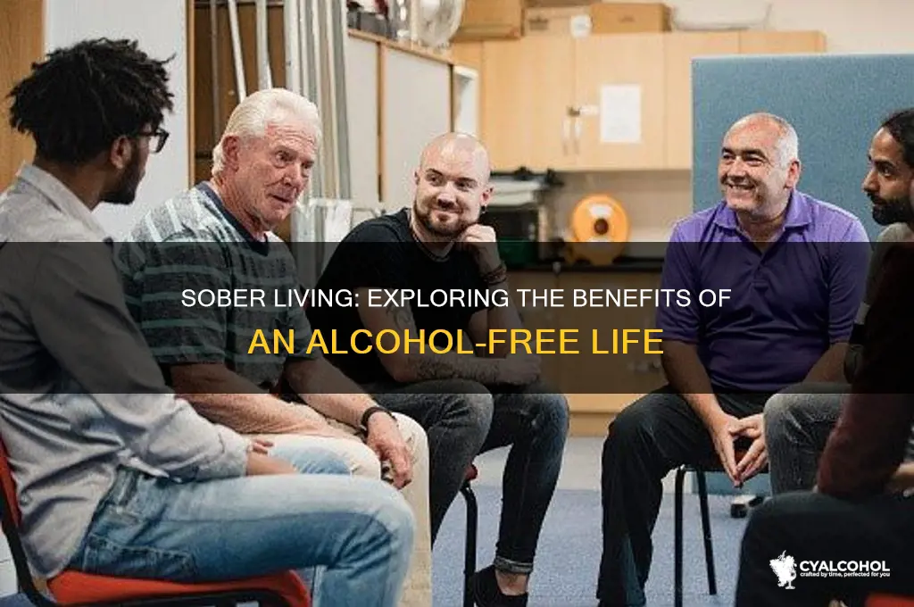 is life really better without alcohol
