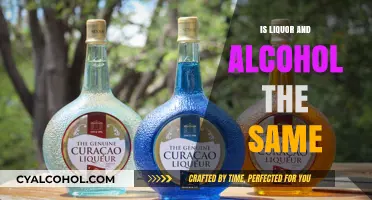 Liquor vs. Alcohol: Understanding the Key Differences and Similarities