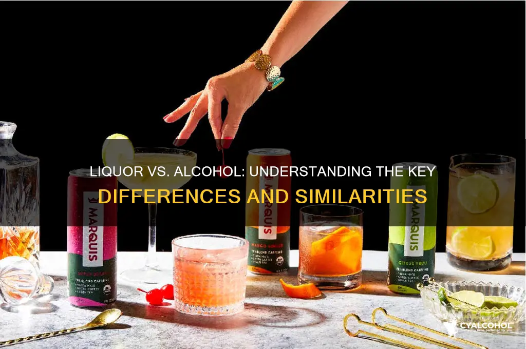 is liquor and alcohol the same