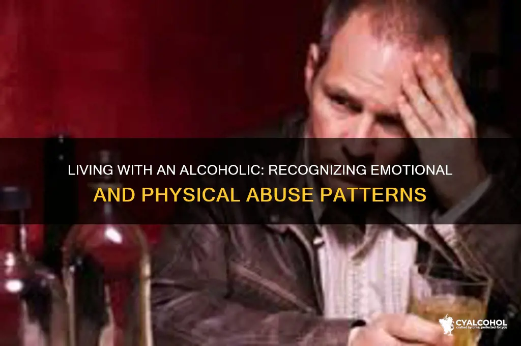 is living with an alcoholic abusive