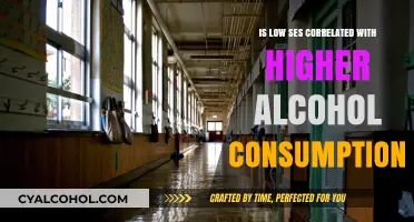 Low SES and Alcohol: Exploring the Link Between Poverty and Drinking