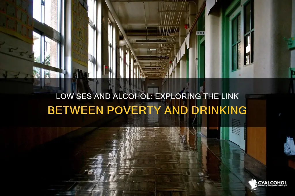 is low ses correlated with higher alcohol consumption
