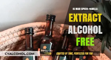 Is M&B Spices Vanilla Extract Alcohol-Free? A Detailed Review