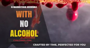 Reversing Macrocytosis Without Alcohol: Effective Strategies for Recovery