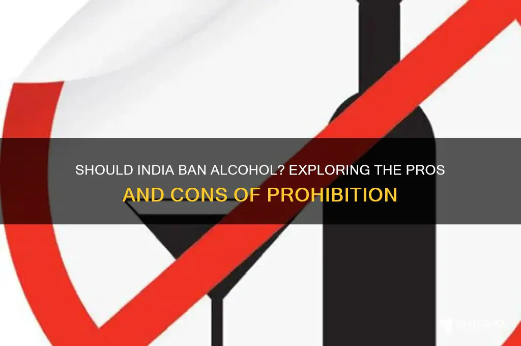 is making alcohol illegal in india