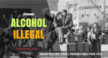 Should Alcohol Be Banned? Exploring the Pros and Cons of Prohibition
