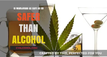 Marijuana vs Alcohol: Which is Safer?