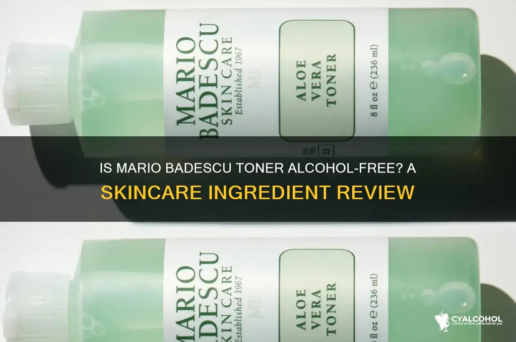 is mario badescu toner alcohol free