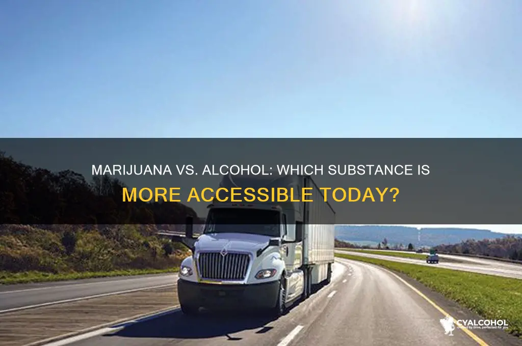 is marjiuana more accessible than alcohol