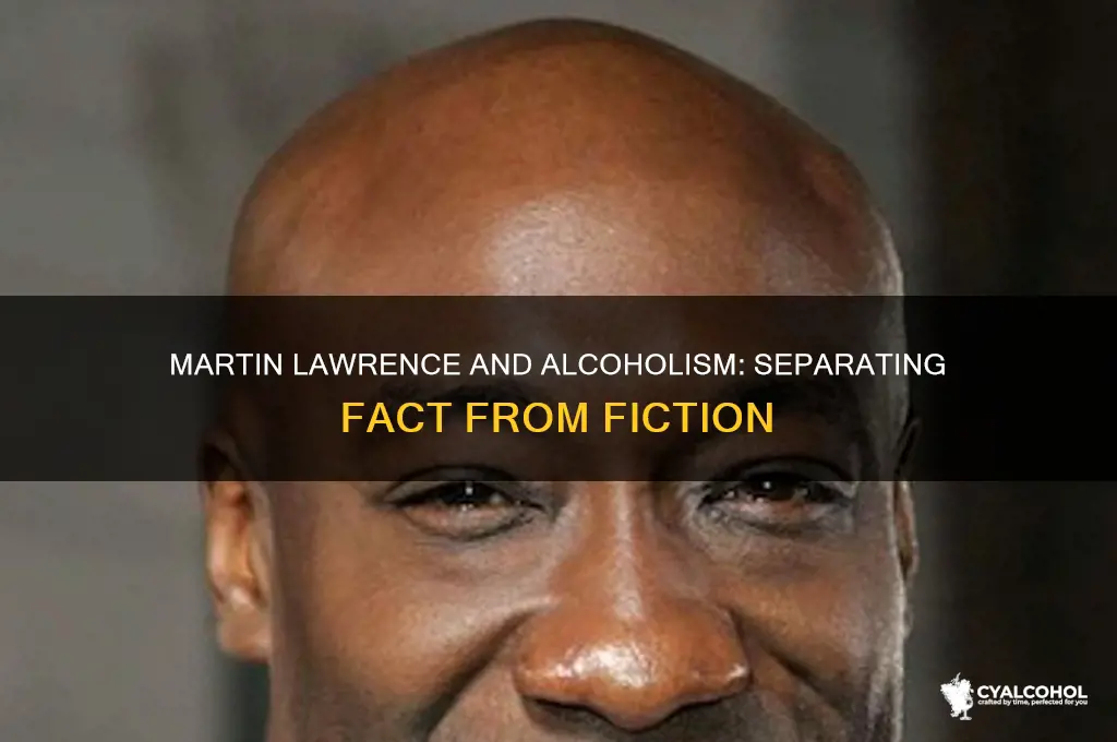 is martin lawrence an alcoholic