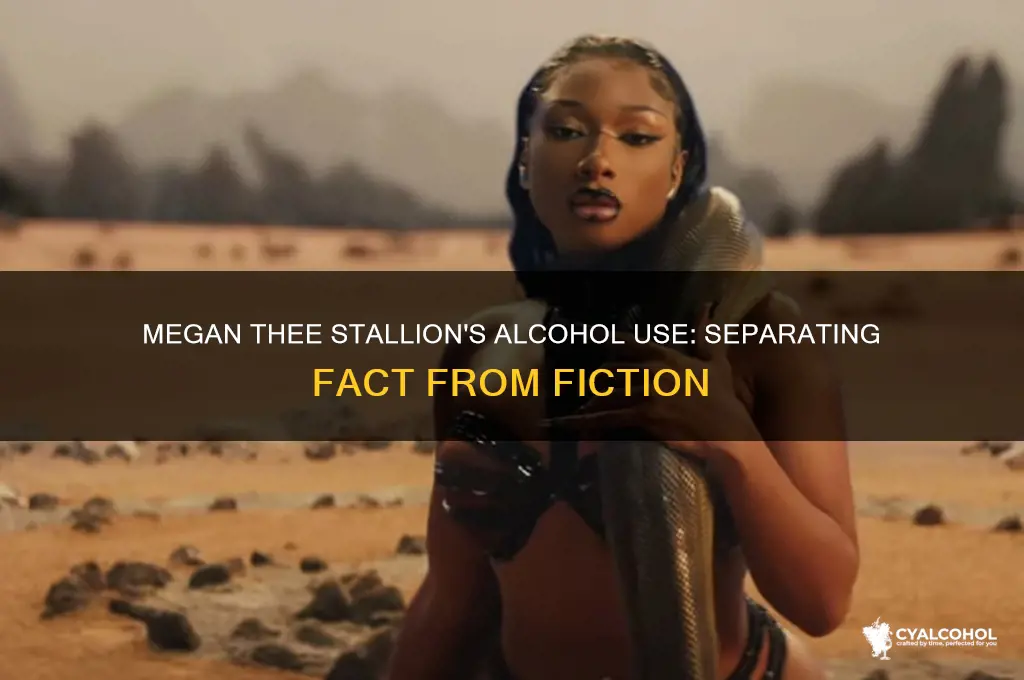 is megan thee stallion an alcoholic