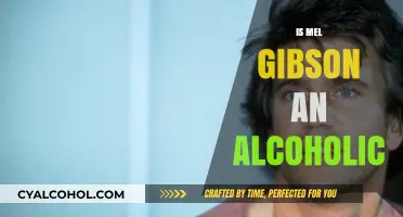 Mel Gibson's Battle with Alcoholism: Fact or Fiction?