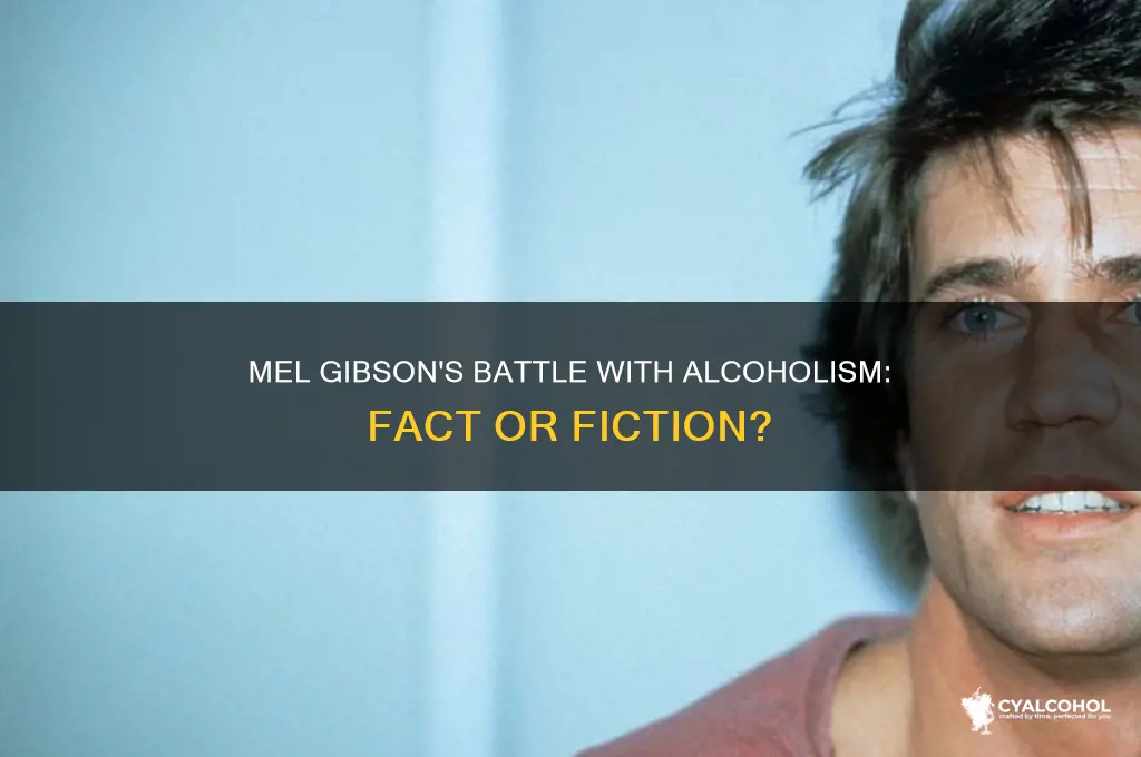 is mel gibson an alcoholic