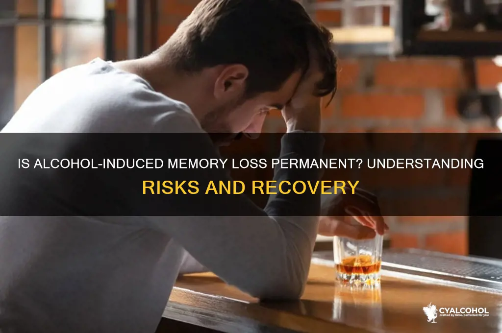 is memory loss from alcohol permanent