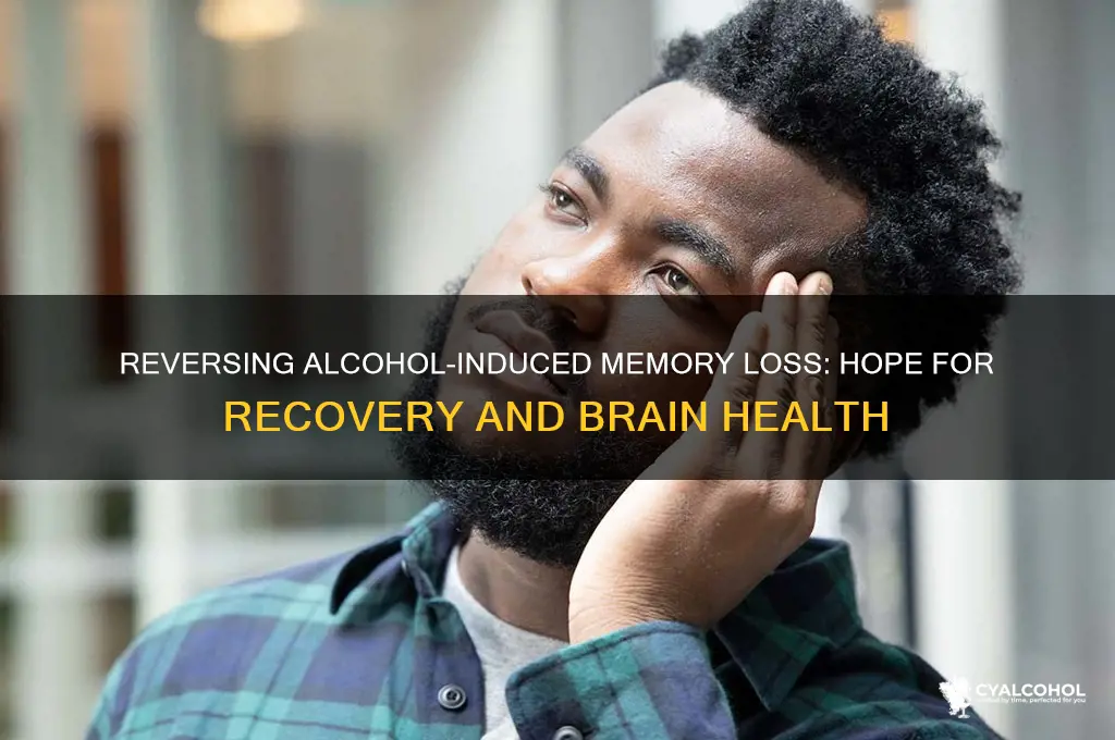 is memory loss from alcohol reversible