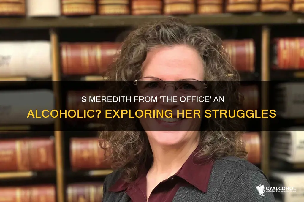 is meredith an alcoholic the office