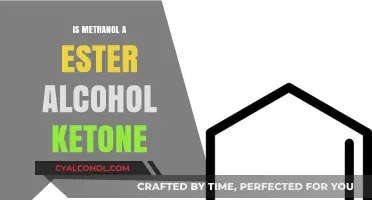 Methanol: Ester, Alcohol, or Ketone? Understanding Its Chemical Classification