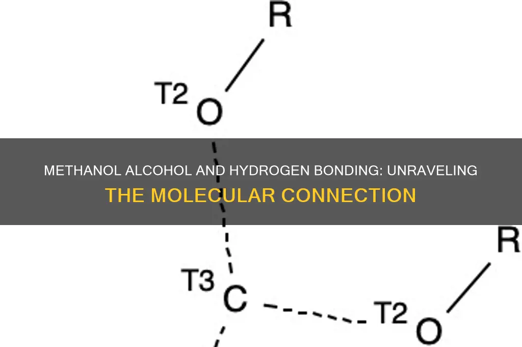 is methanol alcohol a hydrogen bond