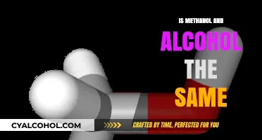 Methanol vs. Alcohol: Understanding the Key Differences and Uses