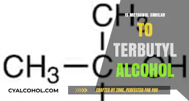 Methanol vs. Tert-Butyl Alcohol: Key Differences and Similarities Explained