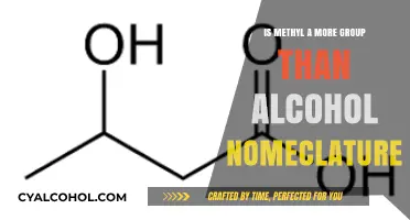 Methyl vs. Alcohol Nomenclature: Which Functional Group Takes Priority?
