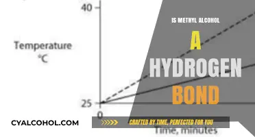 Exploring Methyl Alcohol's Hydrogen Bonding Capabilities: A Comprehensive Analysis