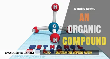Is Methyl Alcohol Organic? Exploring Its Chemical Nature and Classification