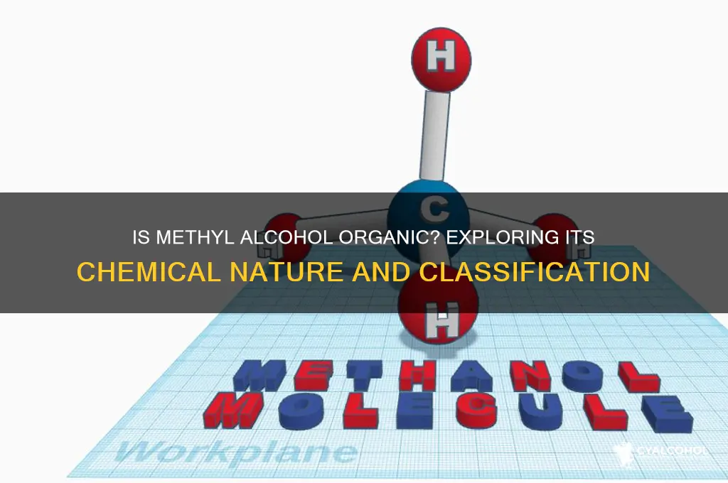 is methyl alcohol an organic compound