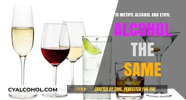 Methyl vs. Ethyl Alcohol: Understanding the Key Differences and Uses