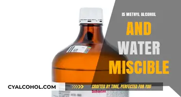 Methyl Alcohol and Water: Understanding Their Miscibility and Properties