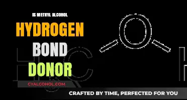 Methyl Alcohol's Role as a Hydrogen Bond Donor: Unveiling the Chemistry