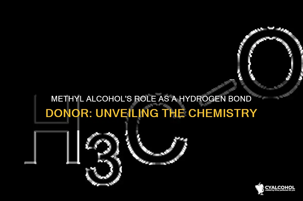 is methyl alcohol hydrogen bond donor