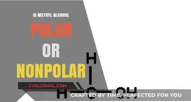 Understanding Methyl Alcohol's Polarity: Polar or Nonpolar Explained