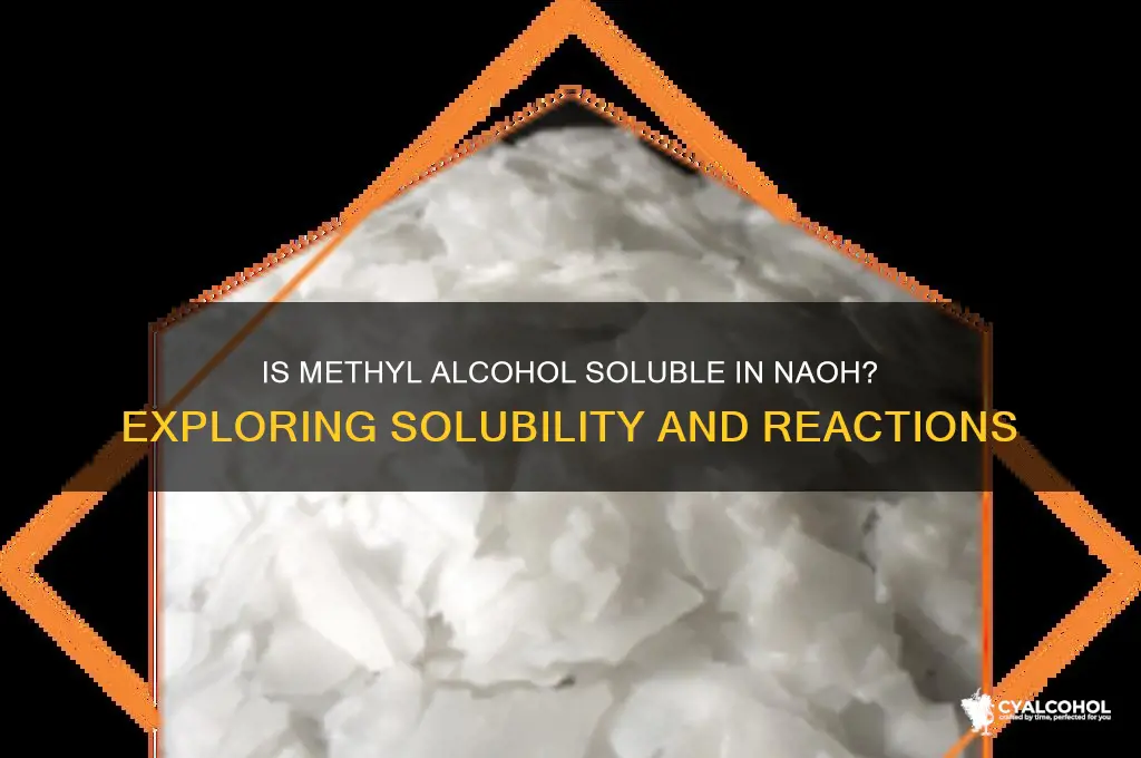 is methyl alcohol soluble in naoh