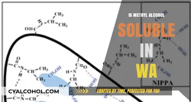 Is Methyl Alcohol Soluble in Water? Exploring Its Solubility