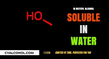 Is Methyl Alcohol Soluble in Water? Exploring Its Solubility
