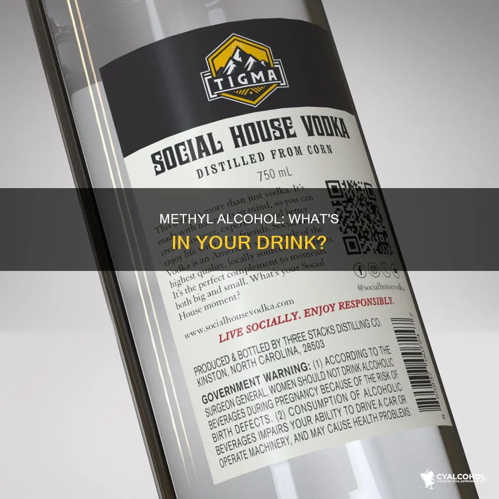 is methyl alcohol the active ingredient in alcoholic beverages