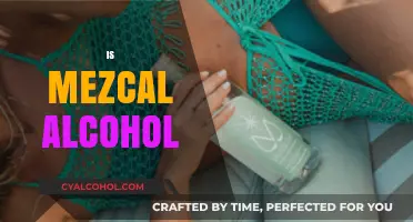 Is Mezcal Alcohol? Unveiling the Truth About This Smoky Spirit