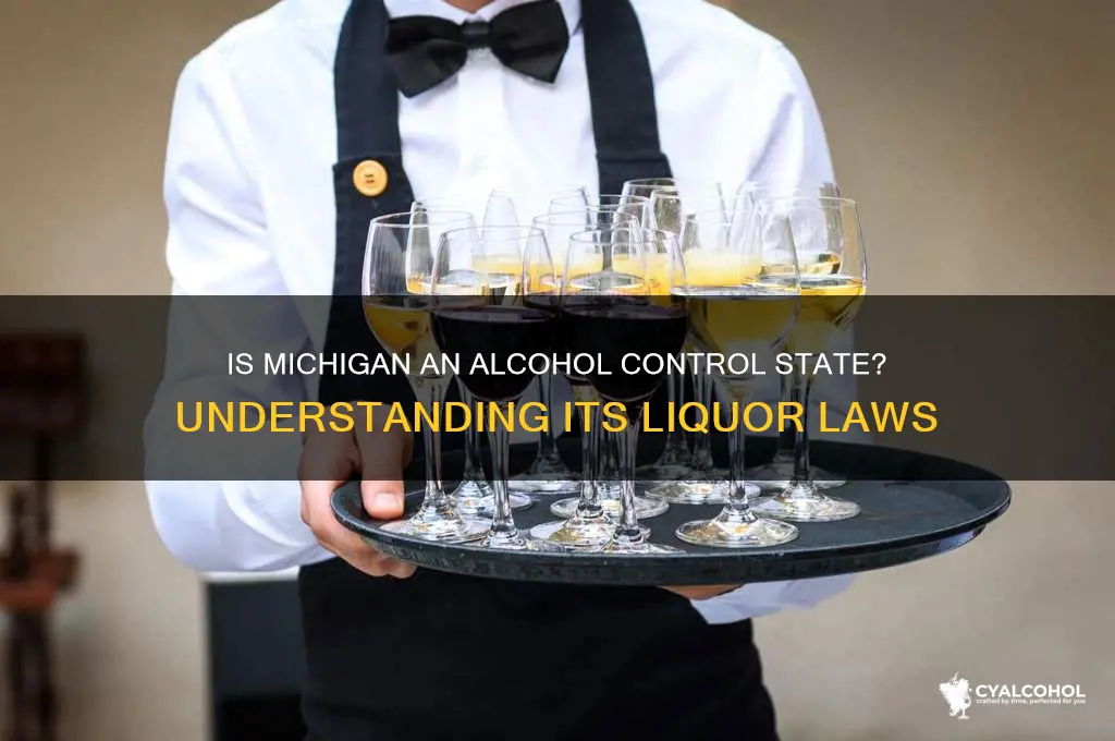 is michigan a alcohol control state